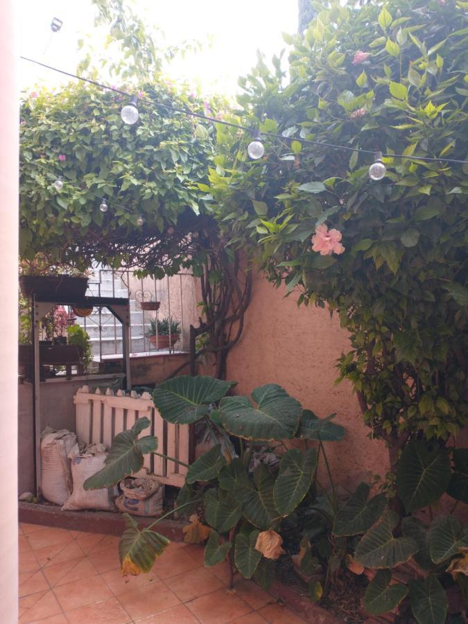 דירות מקסיקו סיטי Relax מראה חיצוני תמונה